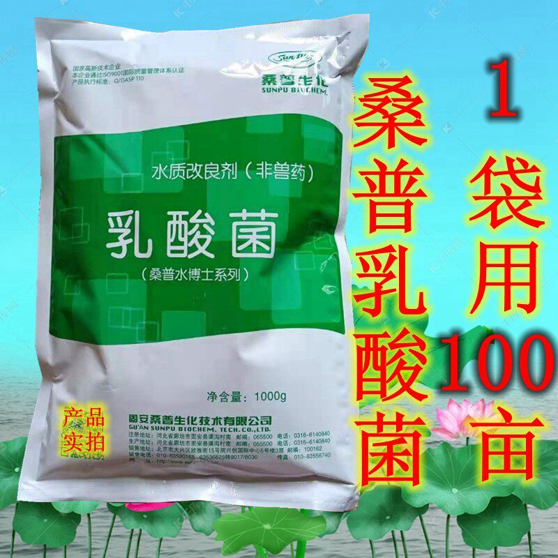 桑普乳酸菌 乳酸菌水产养殖专用菌种鱼塘调节水质肥水净水降ph值