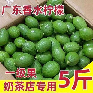 广东香水柠檬新鲜无籽香柠檬暴打鸭屎香青柠精选一级果奶茶店专用