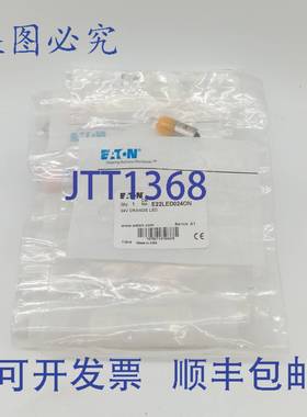 原装供应进口 E22LED024ON 24V 橙色 LED 灯泡 10 个装