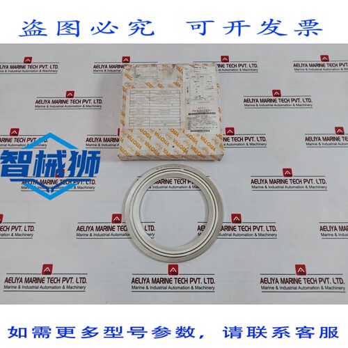 原装供应 VALQUA 8596VL GUARNIZI SPIRALE ANSI 900LB SPECIALE-