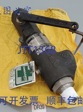 原装供应Consolidated 安全泄压阀 1990C-1-XDB1 3/4 1250Psi +