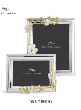 白金相框MichaelAram