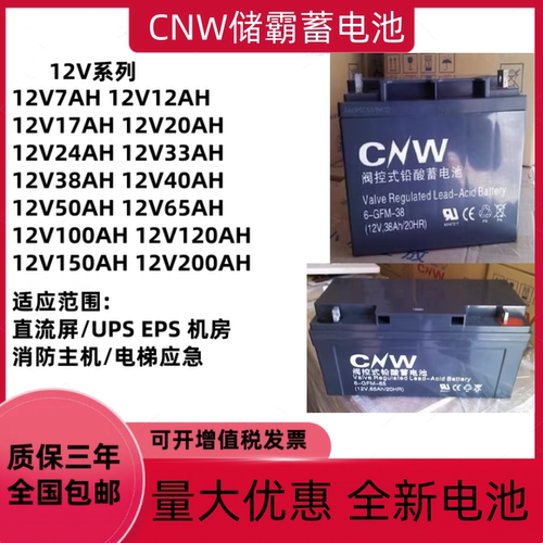 CNW储霸蓄电池6-GFM-38 12V24AH38AH65AH100AH直流屏UPS电源EPS