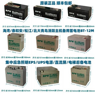 海湾松江泰和安北大青鸟利达营口天成依爱消防主机蓄电池12V24AH
