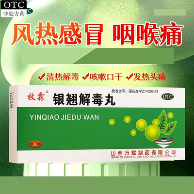 【牧霖】银翘解毒丸9g*10丸/盒