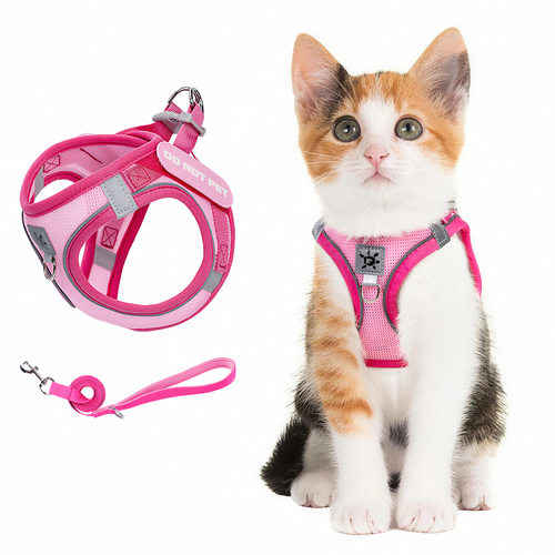 跨境胸背猫猫透气胸背带反光防挣脱遛猫绳猫牵引绳小型狗狗胸背带