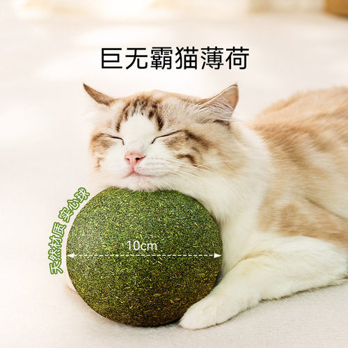 猫薄荷球超大猫玩具自嗨解闷磨牙猫草球逗猫棒猫咪用品逗猫棒
