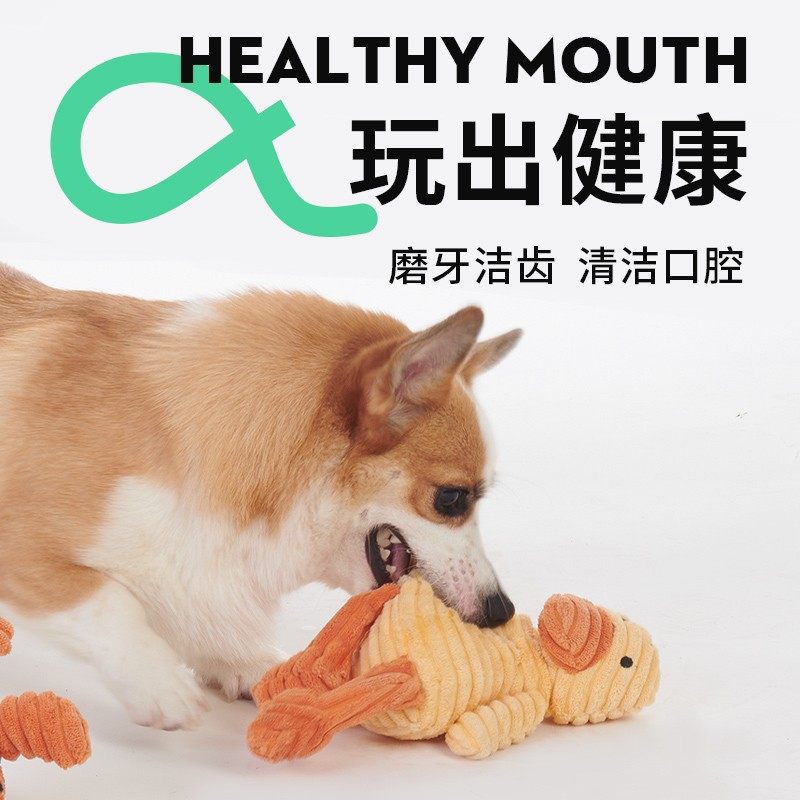 狗狗玩具磨牙可爱互动解压图片