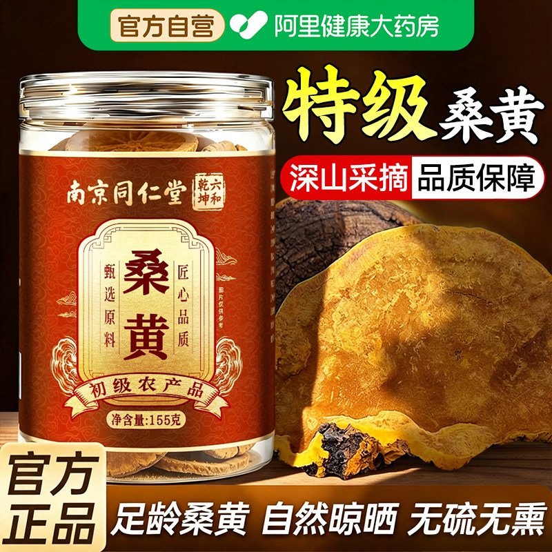 南京同仁堂野生桑黄官方旗舰店正品桑黄茶中药材特级调理脾胃
