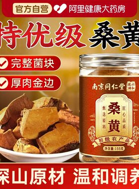 南京同仁堂野生桑黄官方旗舰店中药材桑树菌种正宗泡茶水切块