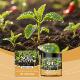 Plant Supplement Soil MOONSPRY Activator Nutrient for Pott