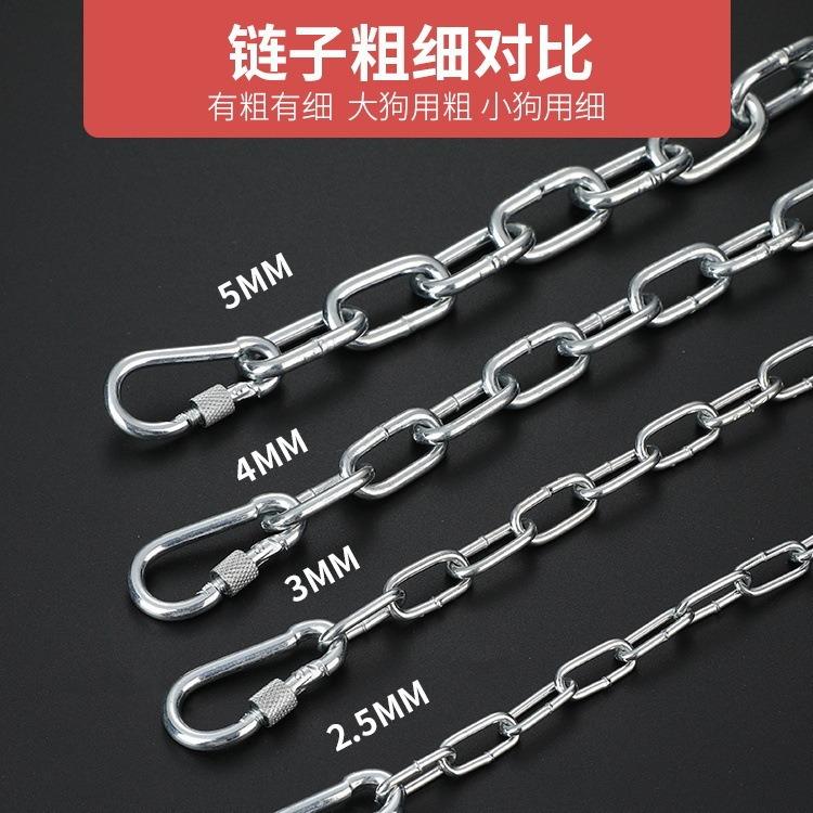 Bite-resistant dog leash with extended rust-proof chain, dog