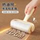 Roller Washable Water Hair Lint Pet Reusable for Removal
