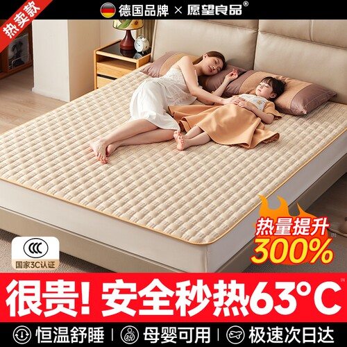 速热恒温第1名】德国进口电热毯