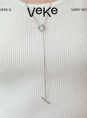 VEKE「流光」气质简约项链优雅通勤颈链百搭毛衣链女NC16622A