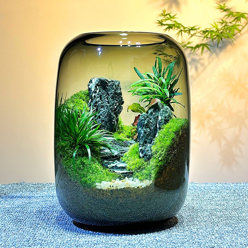 青苔藓微景观创意桌面摆件生态瓶盆栽盆景造景办公室绿植造景成品