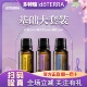 正品 doTERRA多特瑞精油基础套装 入门三件套含柠檬薄荷薰衣草官方