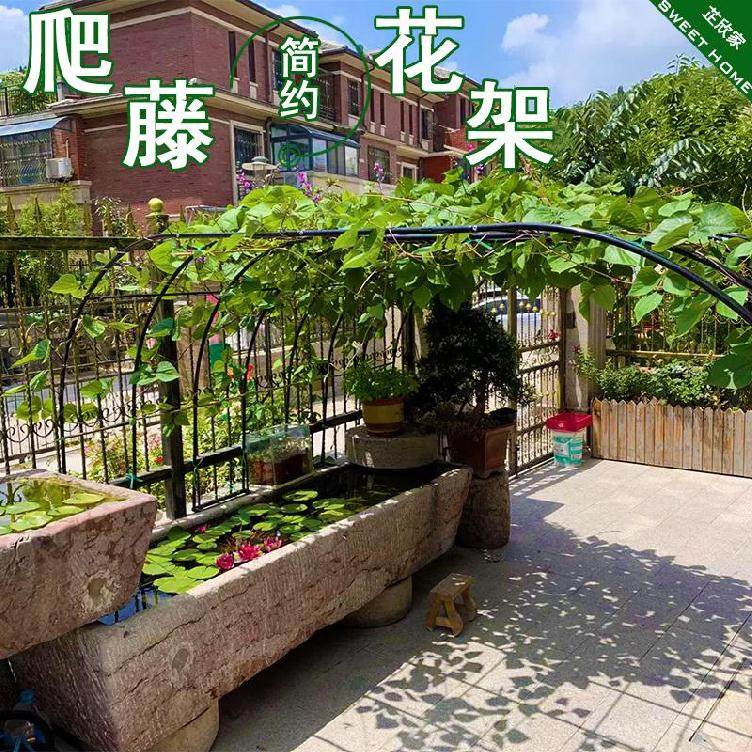 天台养花家庭廊架室外庭院植物绿萝架铁艺爬藤垂吊架户外婚庆后院