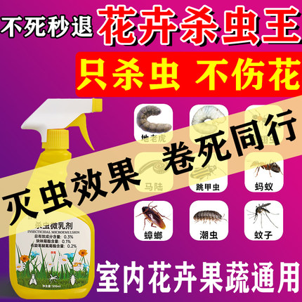 杀虫剂家用室内无毒无味小飞虫红蜘蛛克星孕妇可用花草绿植杀虫剂