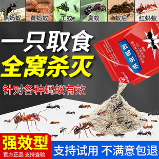 灭蚂蚁药第一名强效杀一窝端野外户外菜地厨房室内家用菜地全窝端