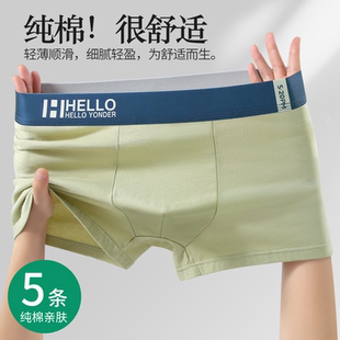 广州汕头内衣内裤男式纯棉平角裤宽松透气夏大码诸暨义乌中山普宁