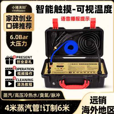 极速小猪夫妇高温高压蒸汽清洁机商用家电管道脉冲清洗一体空调油