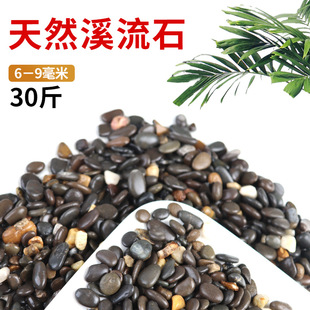 溪流沙免洗专用铺底鱼缸细沙河沙摆件套餐缸沙石生态沙子水草全石