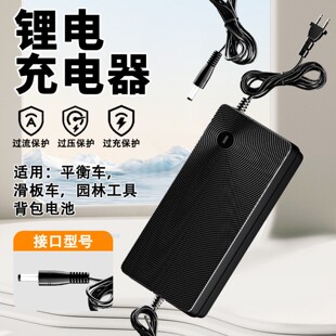 25.2V24V29.4V36V42V48V54.6V60V67.2V滑板电动车充电器充满自停