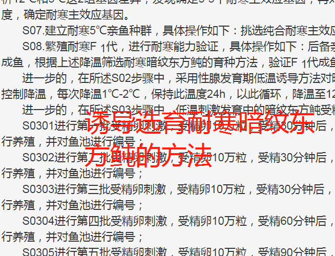 暗纹东方鲀养殖繁育孵化技术专利方法工艺配方和制造步骤，