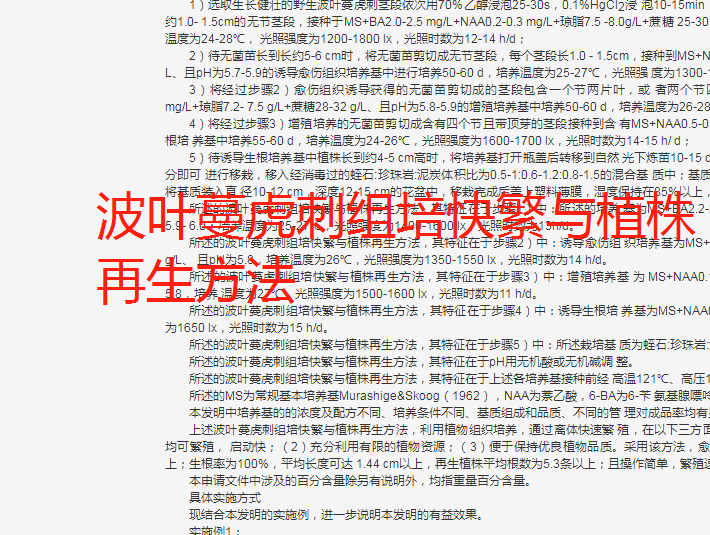 波叶蔓虎刺组培快繁与植株再生技术种植栽培方法