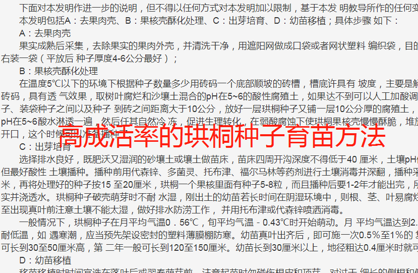 促进珙桐种子发芽的方法技术