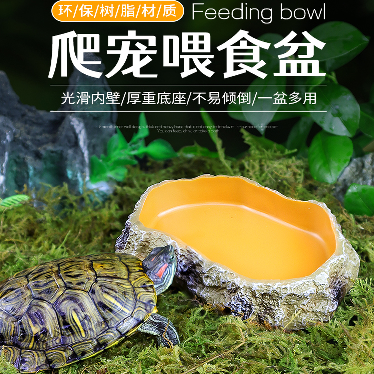 乌龟喂食盘爬宠水盆食盆蜥蜴陆龟黄缘角蛙蛇守宫爬虫用品龟缸造景