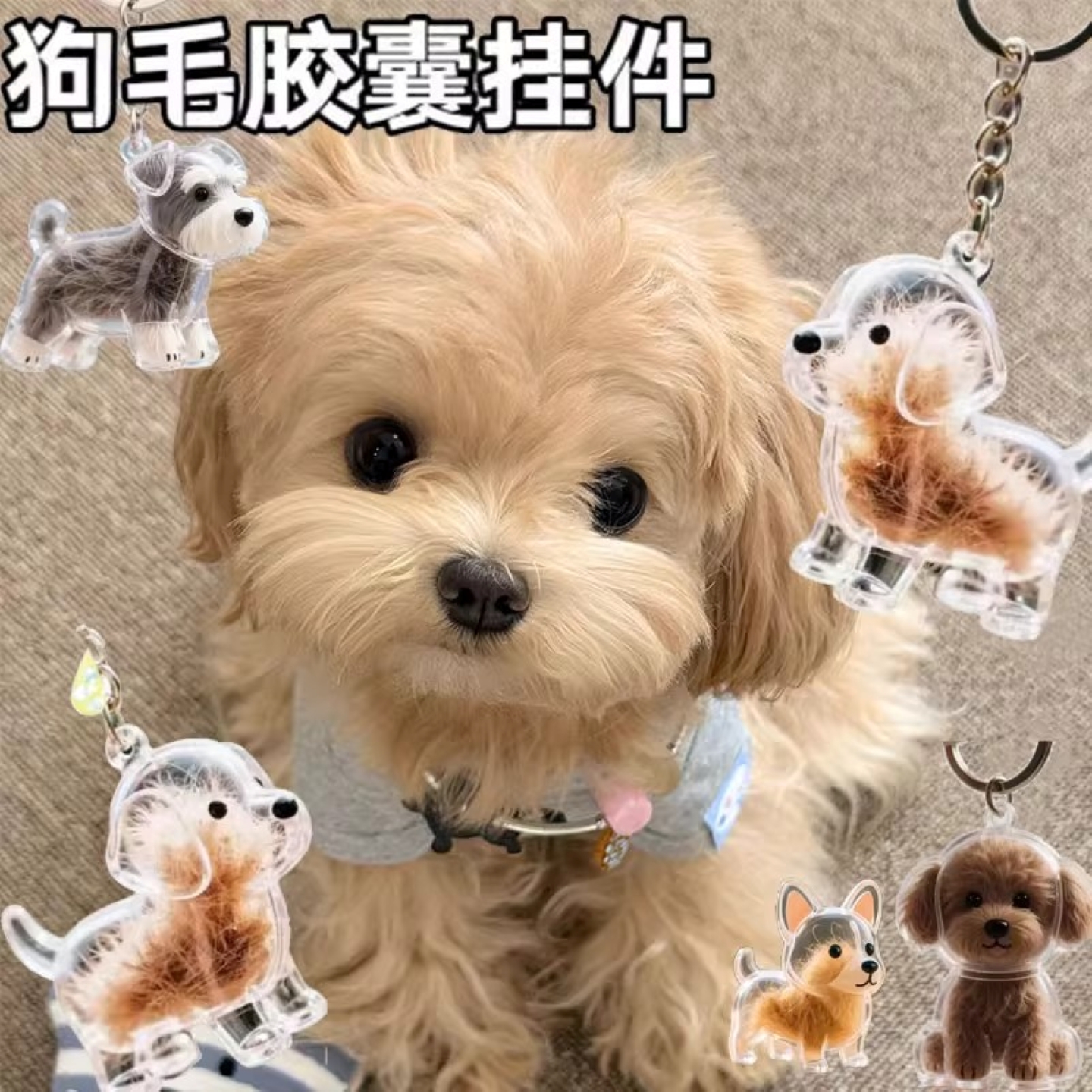 狗毛收集器收纳盒透明挂件纪念钥匙扣装宠物毛发胶囊吊饰品狗遗毛