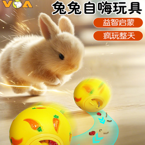 宠物兔子漏食玩具球磨牙解闷玩具侏儒兔兔荷兰猪豚鼠益智嗅闻玩具