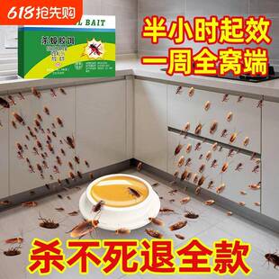 灭蟑螂药家用杀蟑胶饵剂贴屋全窝端非无毒孕妇婴儿神器杀蟑螂蚂蚁