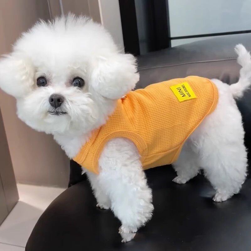 宠物服装小狗狗衣服猫咪服装华夫格背心衣服博美泰迪比熊可爱服饰