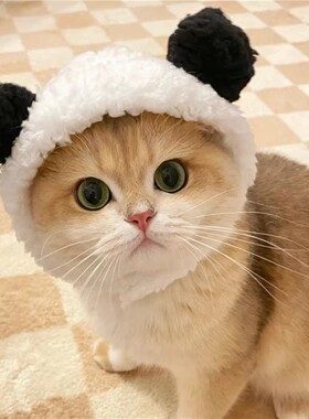 猫咪小熊猫头套可爱变装狗狗兔子头套卡通萌宠物拍照头饰帽子饰品