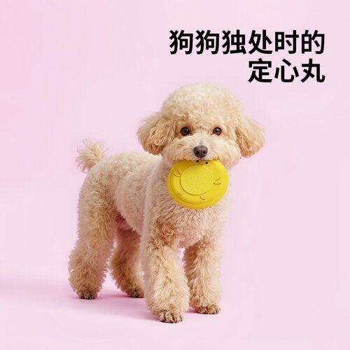 宠物玩具飞盘狗狗互动飞盘抛掷飞碟宠物用品户外训练玩具磨牙玩具