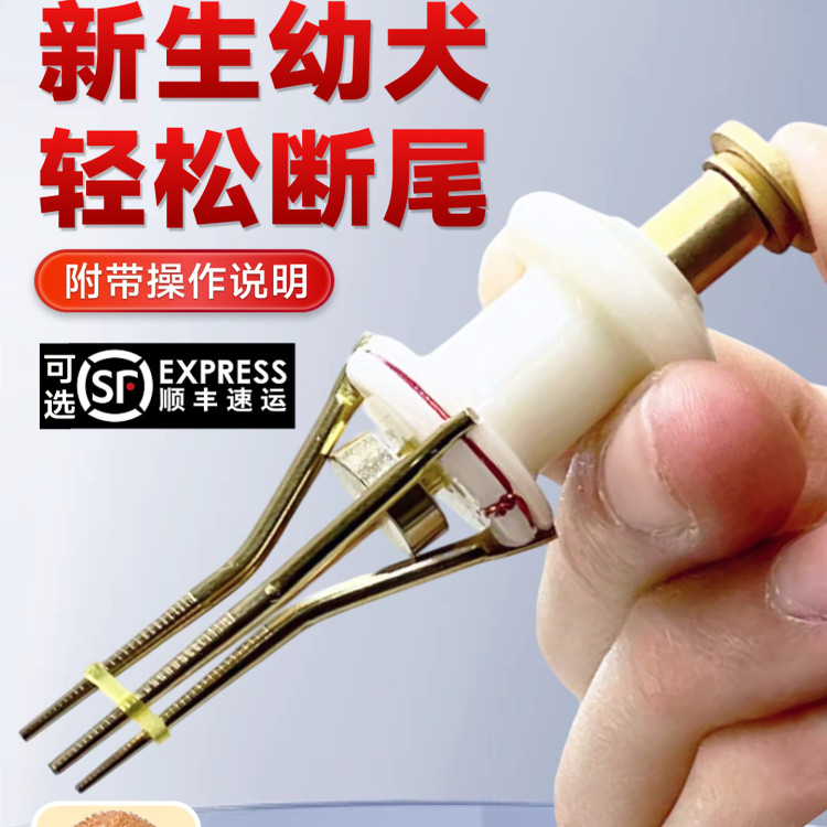 断尾神器狗狗柯基泰迪宠物专用橡皮筋小型犬小狗幼犬断尾皮筋用品