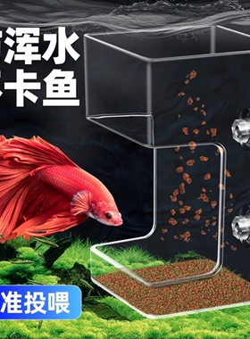 鱼缸喂食神器鱼食龟粮自动投喂小型孔雀鱼小鱼喂食管漂浮圈防飘散