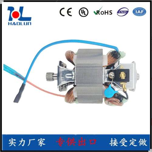 厂家供5420干磨机蔬菜机辅食机家用串激电机厨具串励电机