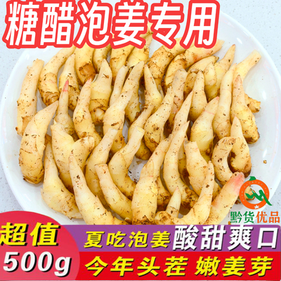 【新鲜嫩姜芽】糖醋酸辣手工农家腌制开胃泡传统菜泡姜食用生姜牙
