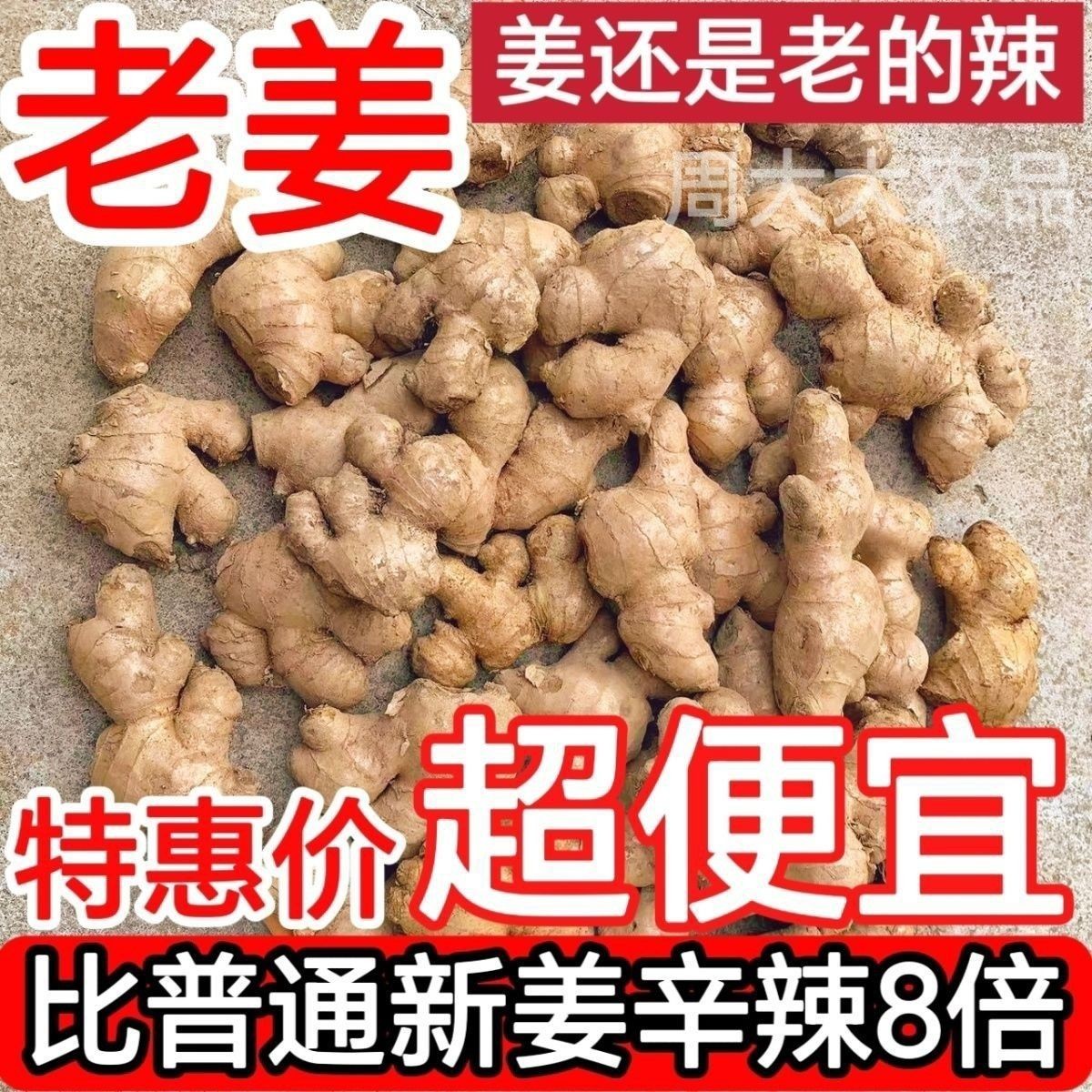 正宗贵州2年老母姜辛辣养生泡姜