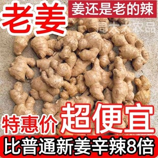 贵州小黄姜老姜头黄姜碎姜小块姜养生姜泡脚姜2年老母姜辛辣刺激