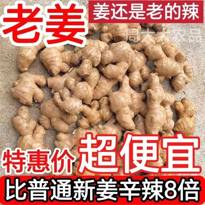 正宗贵州2年老母姜辛辣养生泡姜