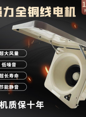 老式无烟灶台排烟扇10寸涡轮排油烟机小型换气扇300窗式烟机家用