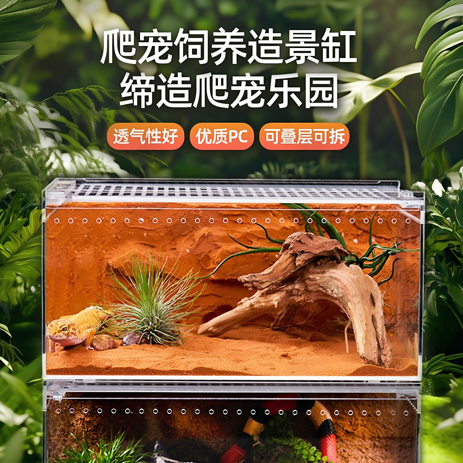 爬宠饲养造景缸亚克力蛇角蛙蜘蛛蜥蜴守宫饲养箱盒甲虫爬虫乌龟缸