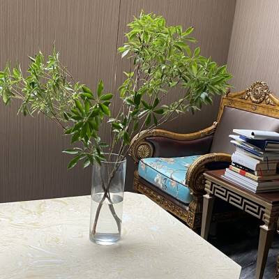 速发马醉木花瓶透明玻璃插花水养客筒绿直吊钟水培植物专用器皿植