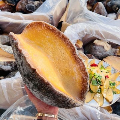 顺丰俄罗斯风味深海大鲍大鲍罗刺身可涮肉质鲜嫩塞内加尔大鲍螺