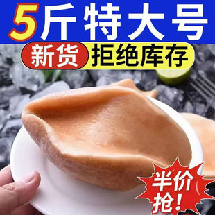 顺丰俄罗斯风味深海大鲍大鲍罗刺身可涮肉质鲜嫩塞内加尔大鲍螺